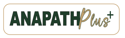 Anapath Plus